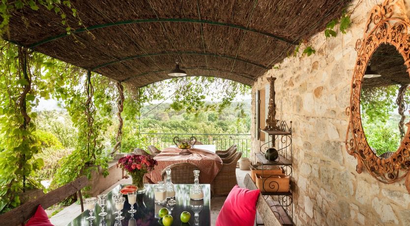 Photo of Entangled Vines