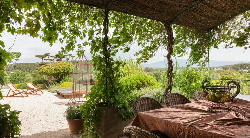 Photo of Entangled Vines