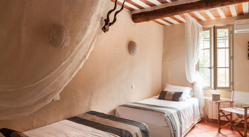 Photo of Entangled Vines