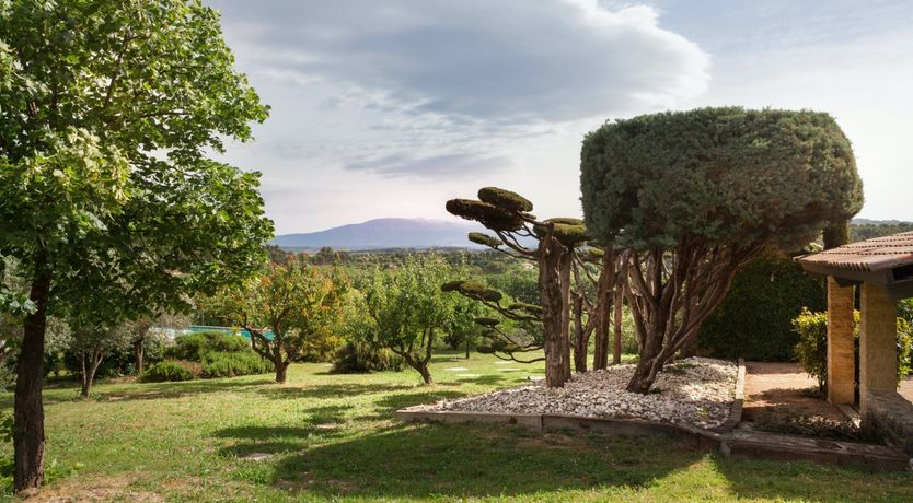 Photo of Entangled Vines