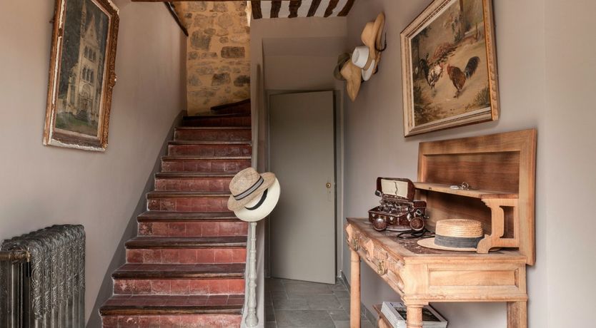 Photo of Entangled Vines