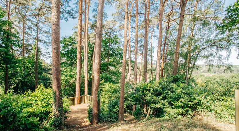 Photo of What's Your Pleasure?