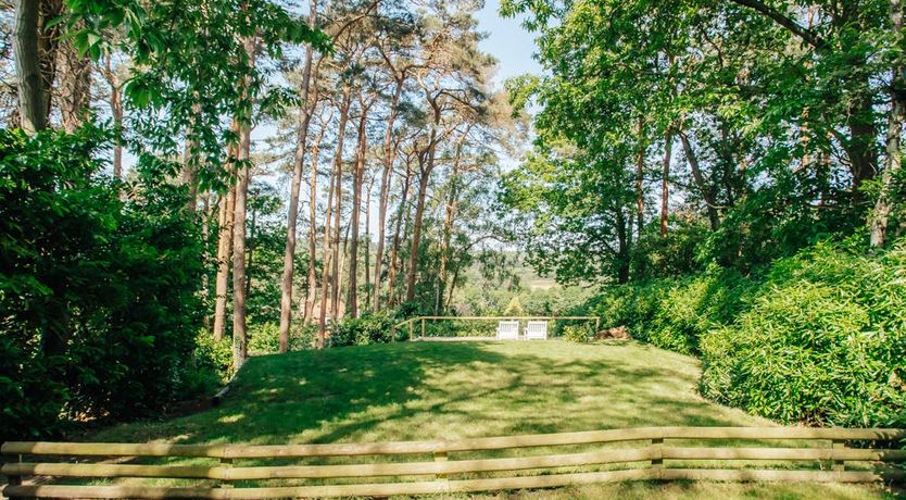 Photo of What's Your Pleasure?