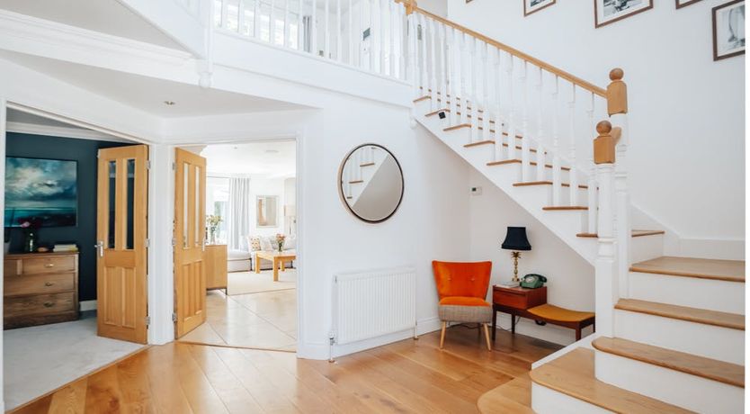 Photo of What's Your Pleasure?