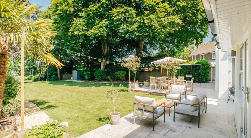 Photo of What's Your Pleasure?