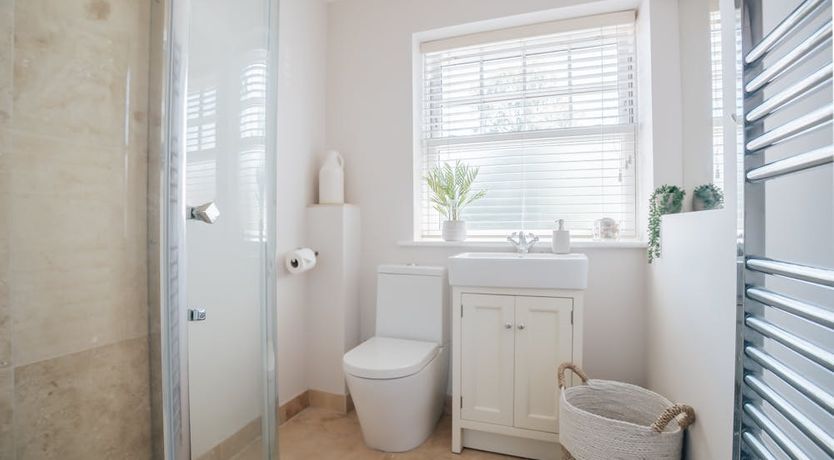 Photo of What's Your Pleasure?