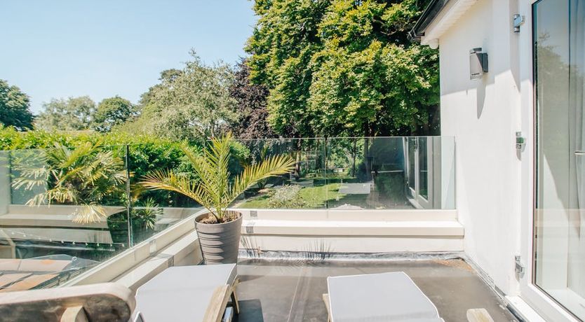 Photo of What's Your Pleasure?