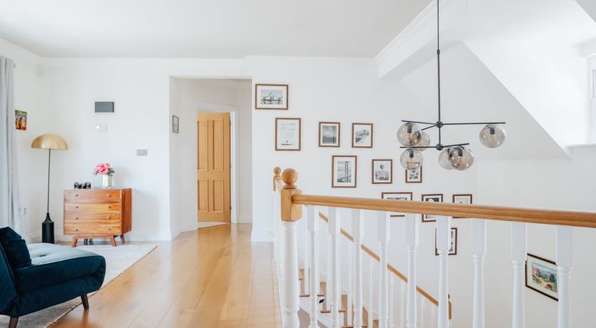 Photo of What's Your Pleasure?