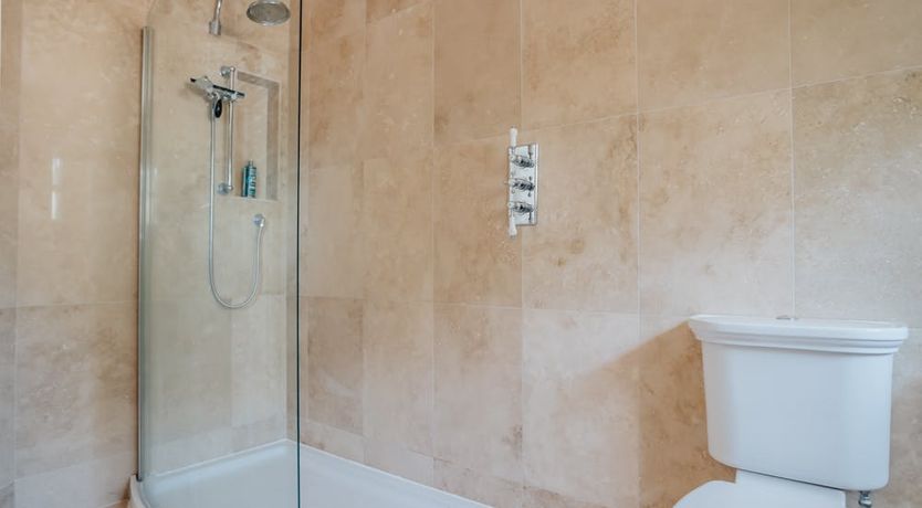 Photo of What's Your Pleasure?