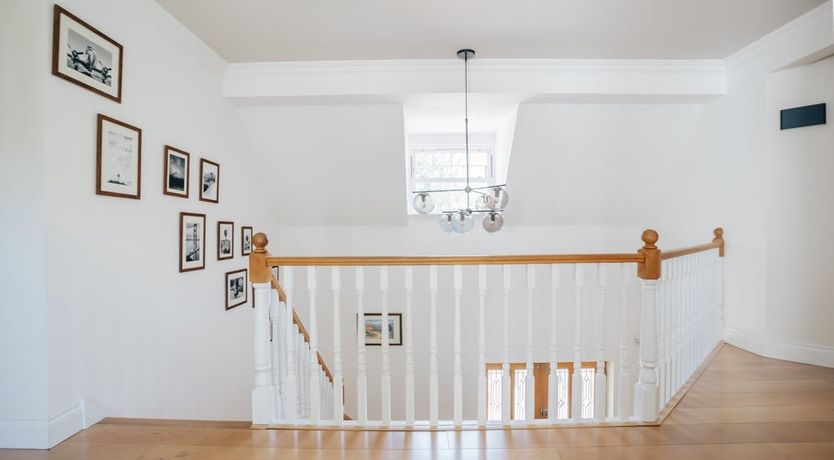 Photo of What's Your Pleasure?