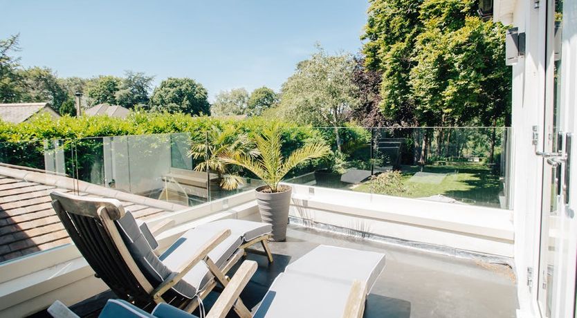 Photo of What's Your Pleasure?