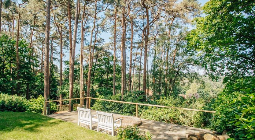 Photo of What's Your Pleasure?