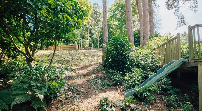 Photo of What's Your Pleasure?