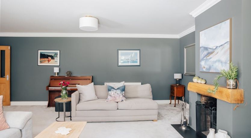 Photo of What's Your Pleasure?