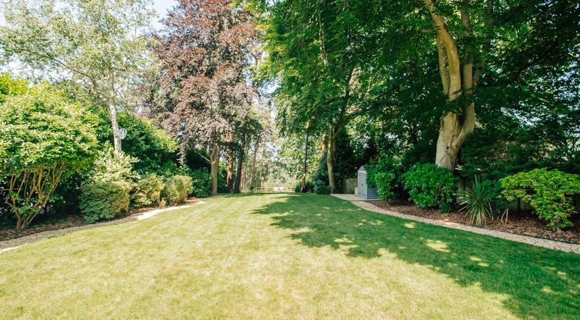 Photo of What's Your Pleasure?