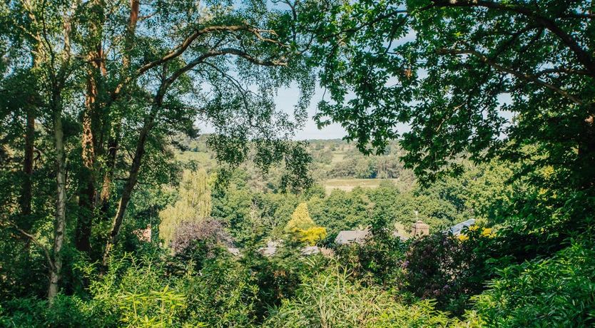 Photo of What's Your Pleasure?