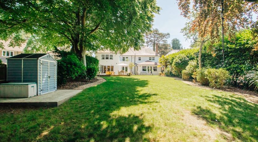 Photo of What's Your Pleasure?