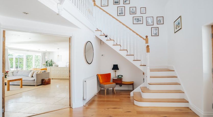 Photo of What's Your Pleasure?