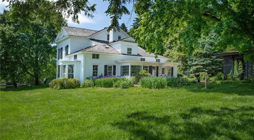 Photo of High Tea & Hedgerows