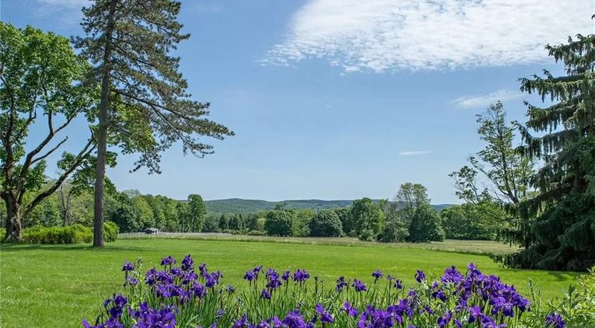 Photo of High Tea & Hedgerows
