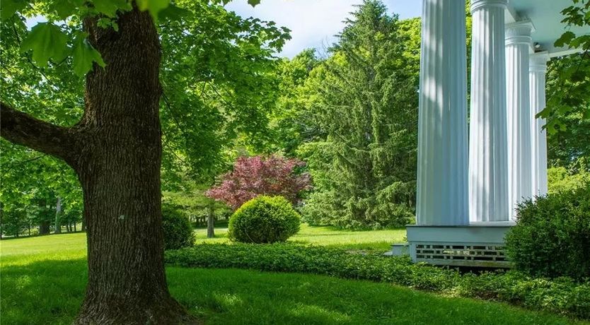 Photo of High Tea & Hedgerows