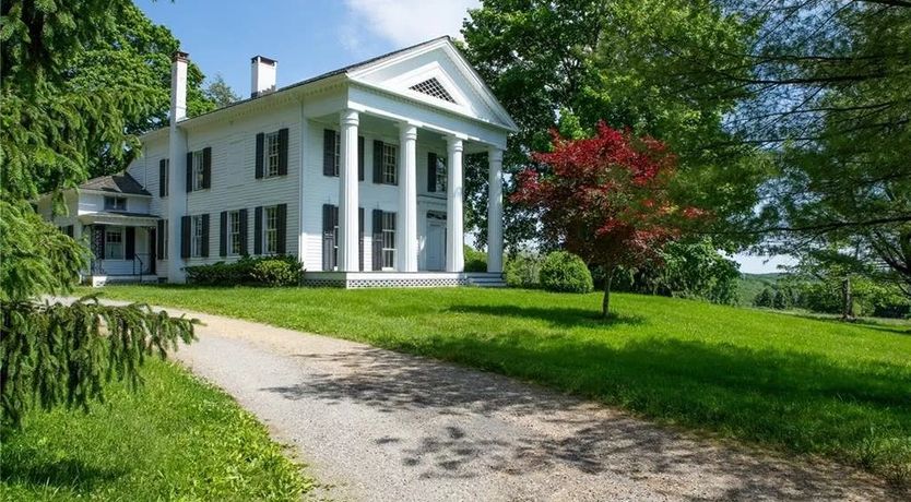 Photo of High Tea & Hedgerows