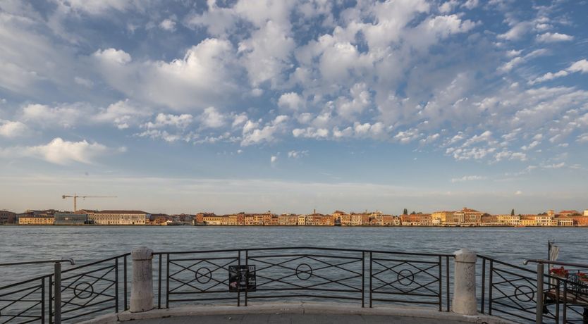Photo of Flowers for Sunsets