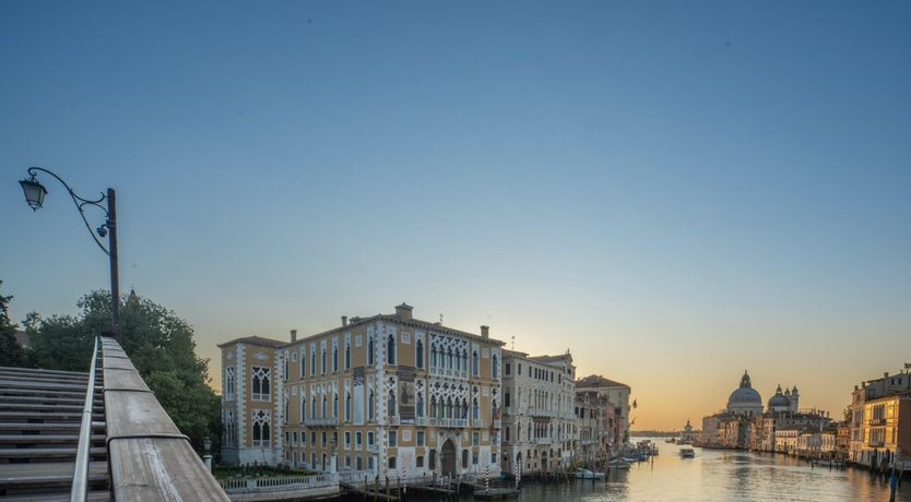 Photo of Flowers for Sunsets