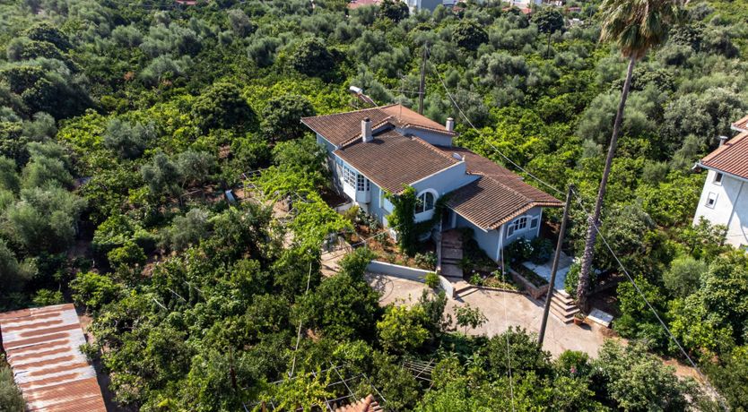 Photo of Stillness in the Sky