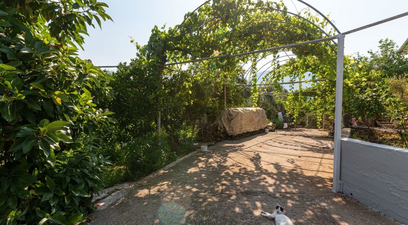 Photo of Stillness in the Sky