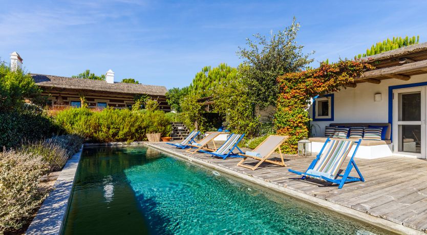 Photo of Nature's Canvas