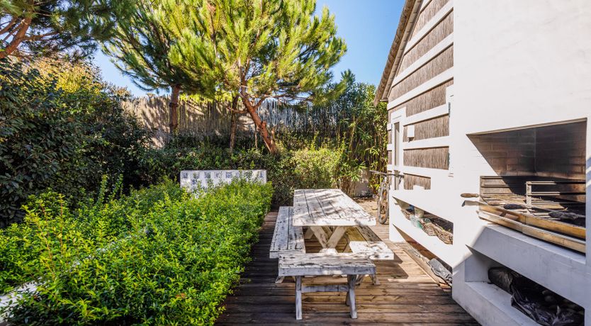 Photo of Nature's Canvas