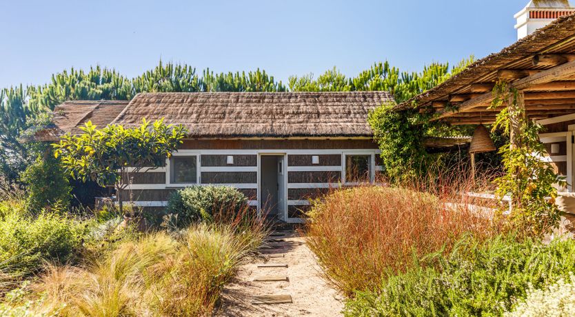 Photo of Nature's Canvas