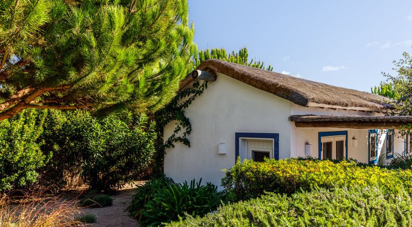 Photo of Nature's Canvas