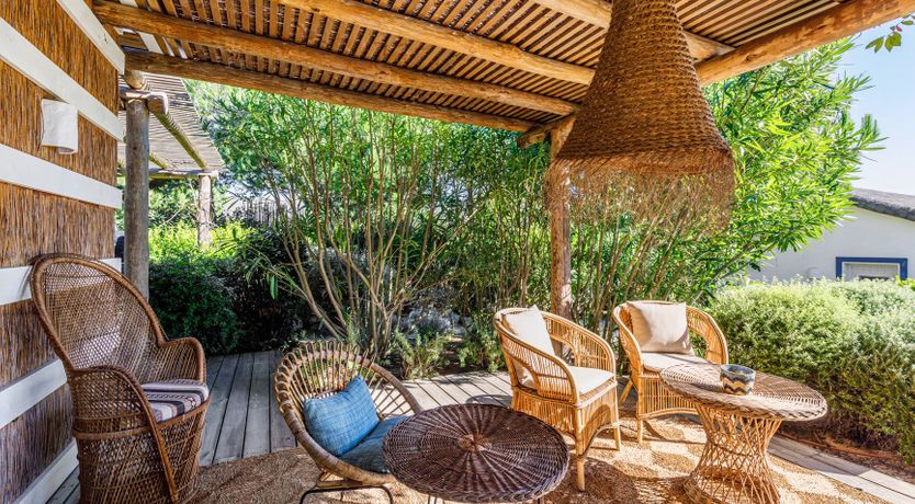 Photo of Nature's Canvas