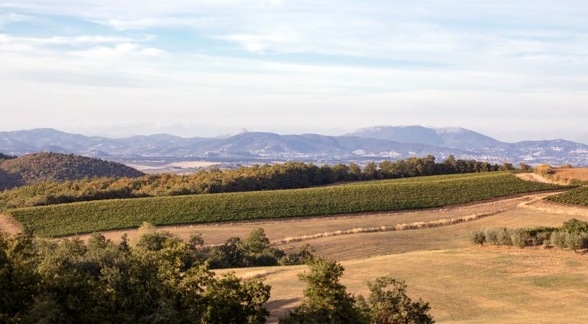 Photo of Villa Serenity