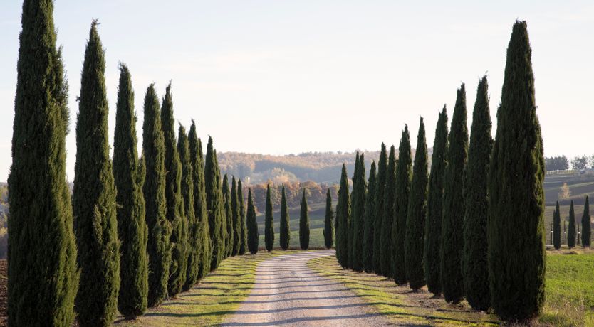 Photo of Villa Serenity