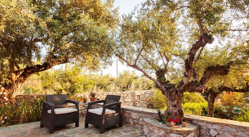 Photo of The Peace Garden