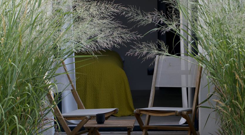 Photo of Whimsical Wilderness