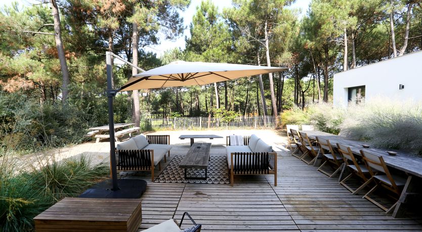 Photo of Whimsical Wilderness