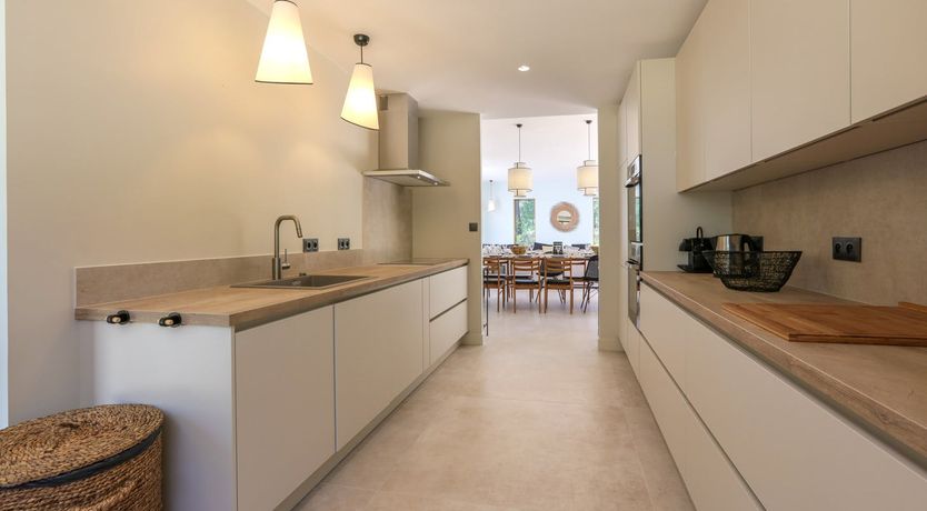 Photo of Whimsical Wilderness