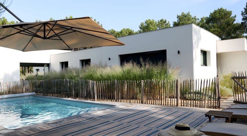 Photo of Whimsical Wilderness