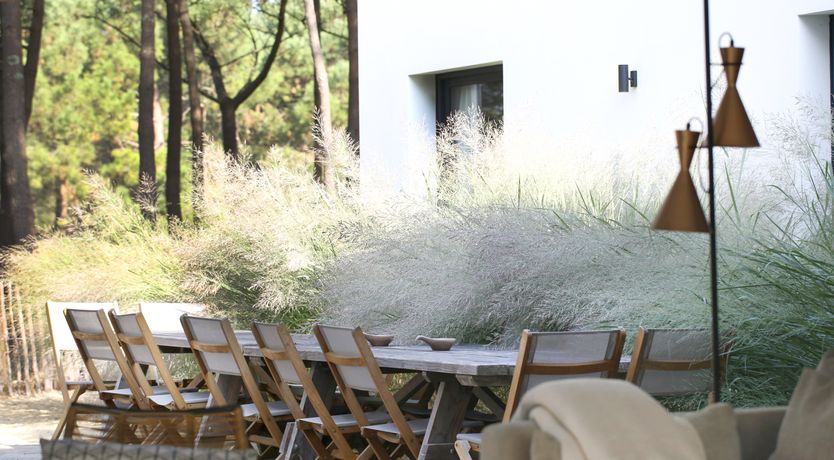 Photo of Whimsical Wilderness