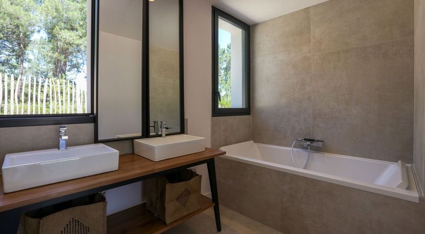 Photo of Whimsical Wilderness