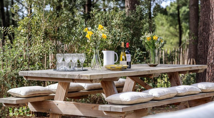 Photo of Whimsical Wilderness