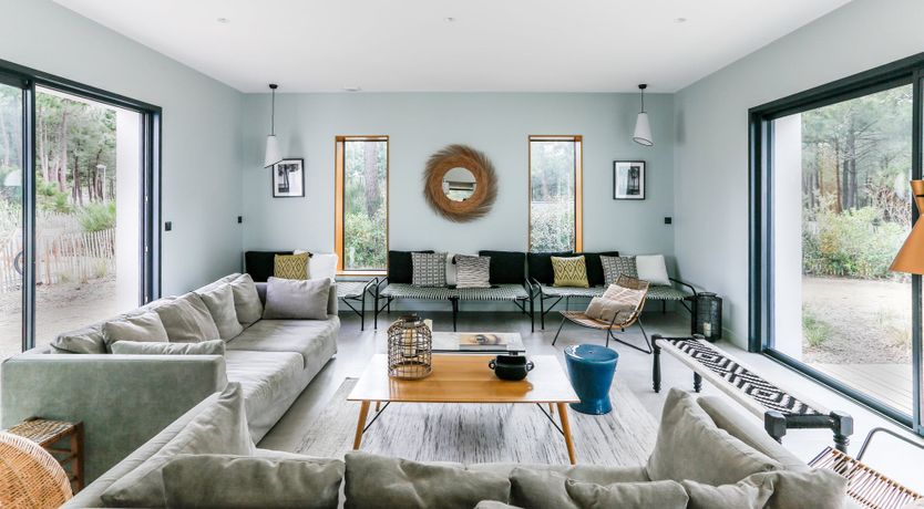 Photo of Whimsical Wilderness