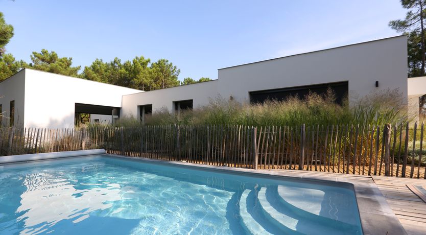 Photo of Whimsical Wilderness