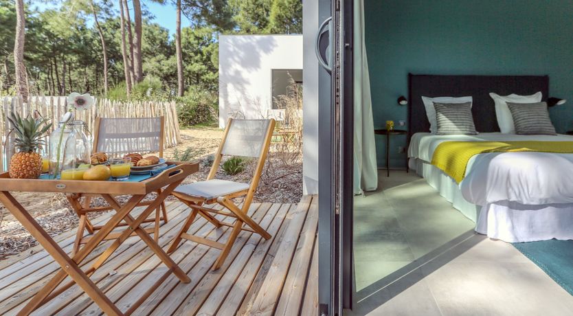 Photo of Whimsical Wilderness