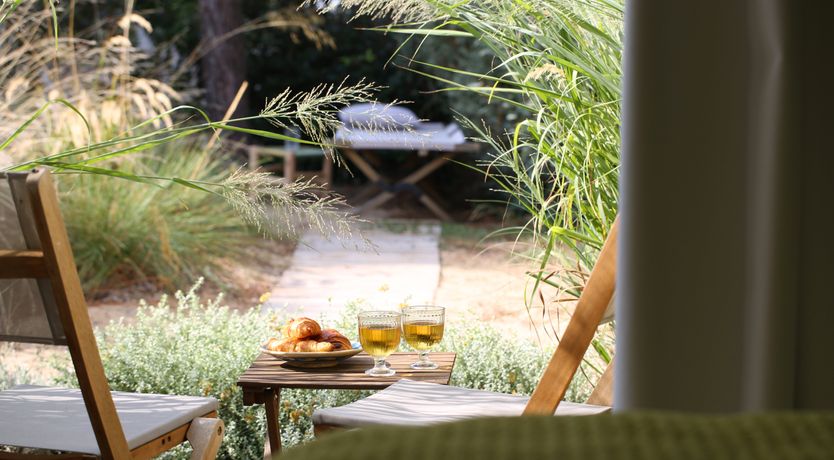 Photo of Whimsical Wilderness