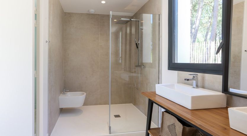 Photo of Whimsical Wilderness